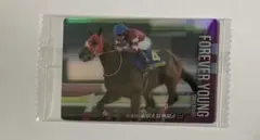 あやごろう様 リクエスト 2点 まとめ商品