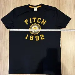Abercrombie&FitchネイビーTシャツ サイズL