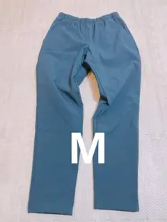 Item thumbnail for item 87fc91d0-3b1e-4a81-aeb7-a7a464b1cde7