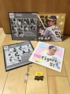 Item thumbnail for item 9e16b3c4-6330-493d-b96a-fdc84ef0bbfe