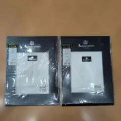 Item thumbnail for item 6a6e6858-23bd-477a-bc93-0b6406fa766b