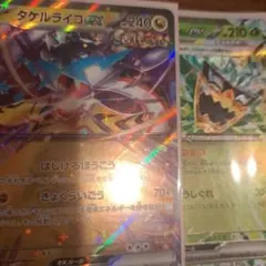 ライコポンデッキ