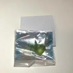 未開封　サンリオ グミチュアチャーム GUMMY ミニポーチ ポチャッコ