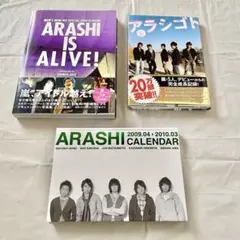 嵐 アラシゴト ARASHI IS ALIVE 2009〜2010カレンダー