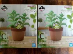 一番くじ 爬虫類＆両生類～Tiny Friends～vol.3 Ｃ賞 2個