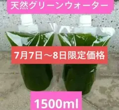 グリーンウォーター 1500ml 青水 針子 育成 メダカ飼育のサムネイル