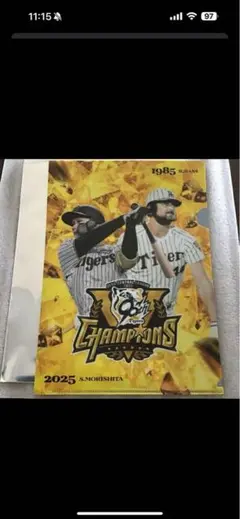 阪神タイガース クリアファイル 応援グッズ
