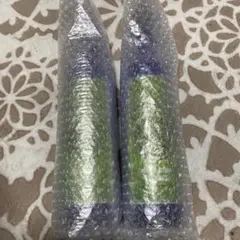 【新品】Bio Aroma 【緑豆Premium】×2 新品】Bio Aroma 【緑豆Premium】