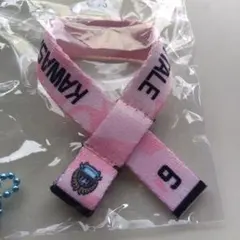 川崎フロンターレ　ガチャフロ　タオルマフラーキーホルダー　2026 エリソン選手