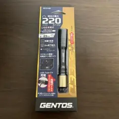 フラッシュライト ライト