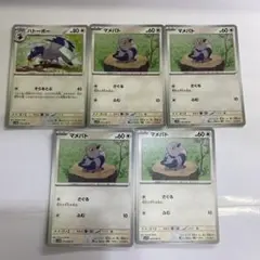 ハトーボー1枚とマメパト4枚のカードセット