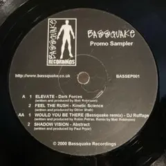 Various - Bassquake Promo Sampler
