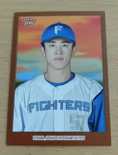 TOPPS NPB 206 北山亘基（北海道日本ハム）ブロンズ版　No.53
