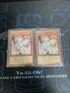 遊戯王OCG 灰流うらら　絵違い　シークレット　2枚
