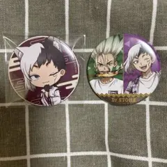 Dr.STONEぷちくじ 缶バッジ 石神千空 あさぎりゲン おまけ付き