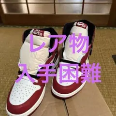 エア ジョーダン1レトロ ハイ OG 