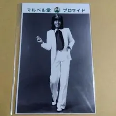 西城秀樹 ミュージシャン