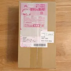 【新品、未開封】ポケモンセンター ヒロシマ スペシャルBOX