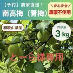 とーら様専用 南高梅（青梅）3kg 5月下収穫発送