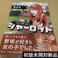 うみねこ様 リクエスト 2点 まとめ商品