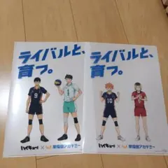 ハイキュー クリアファイル