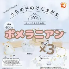 【ポメラニアン】 うちの子のけだまだま 犬のけだまだま バラ売り ３つ