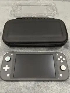 Nintendo Switch Lite グレー本体(ケース・プロテクター付き)