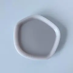 レジントレー