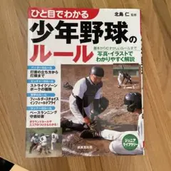 野球 趣味