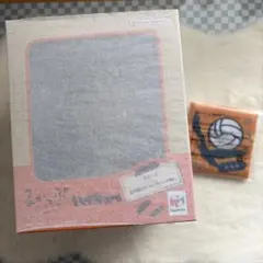 ハイキュー 田中 るかっぷ 特典付き