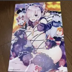 Fate/Grand Order ダ・ヴィンチミュージアム キャンバスアート Fate/Grand Order ダ・ヴィンチミュージアム キャンバスアート