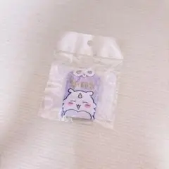 【新品未開封】東京みやげ 無邪気　お守りキーホルダー