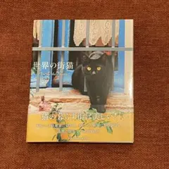 Item thumbnail for item bb2d4000-d4de-4aef-a16a-13ab0c62fa22