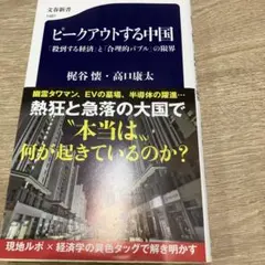 ピークアウトする中国 梶谷懐 高口康太 文春新書
