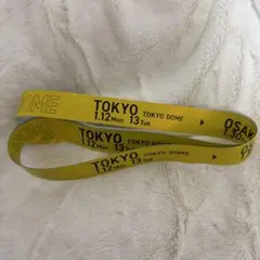 Item thumbnail for item 654389a8-a007-4a96-ad49-921fa8c6398b