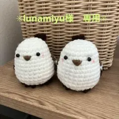lunamiyu様専用✳︎