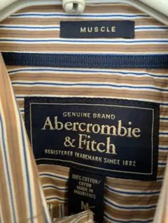 【割引中】　ストライプシャツ　Mサイズ　Abercrombie & Fitch