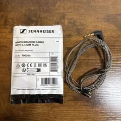 2026年最新】Sennheiser IE 200 シルバー + 4.4mmバランスケーブルの