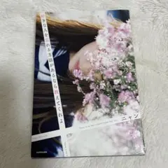 Item thumbnail for item 91d11e46-e241-441e-bbc2-fad00e3c88ac