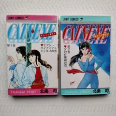 Item thumbnail for item c9876767-5fa2-40fe-8e38-045f35655168