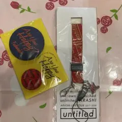 ARASHI ネックストラップ　缶バッジ