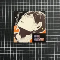 ハイキュー スクエアステッカーコレクション 第2弾 影山 飛雄 烏野