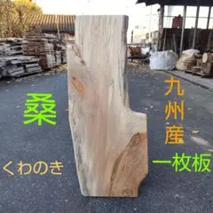 Item thumbnail for item 86f2fea8-9341-409a-9df2-755996c426b5