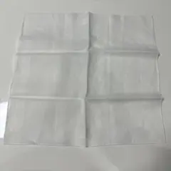 Item thumbnail for item c37a85e5-5764-47ef-9eed-57973ab2506c