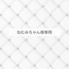 ねむみちゃん様専用