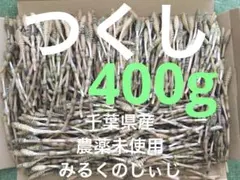 つくし400g ネコポスいっぱい千葉県産農薬未使用
