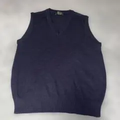 JEMAL Vネックベスト M 紺 日本製