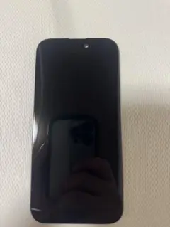 iPhone15Pro 液晶パネル