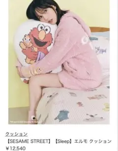 レア‼️新品未使用GELATO PIQUE SESAME STREET クッションのサムネイル