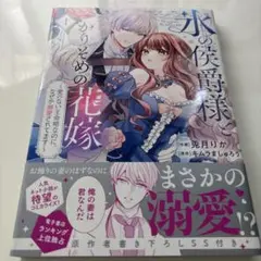 氷の侯爵様とかりそめの花嫁～愛のない王命婚なのに、なぜか溺愛されてます～